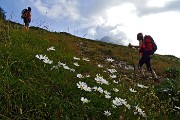 PIZZO ARERA il mattino, concerto del Bepi & The Prismas il pomeriggio al Rifugio Capanna 2000 il 26 luglio 2015 - FOTOGALLERY